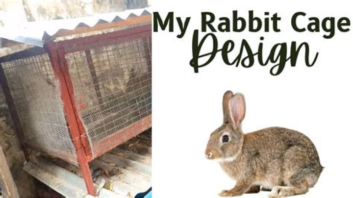 Can you use newspaper in a rabbit cage?