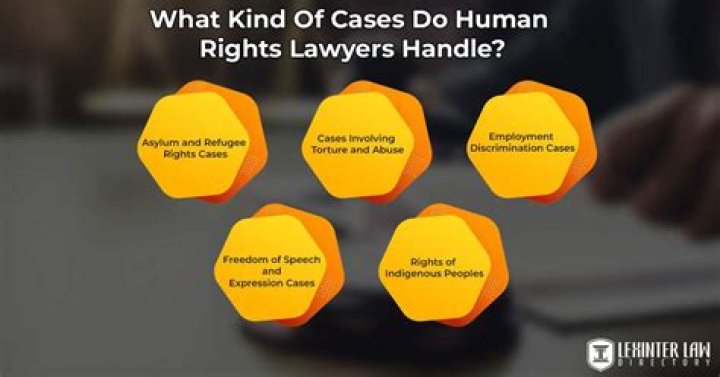 Do human rights lawyers make a lot of money?