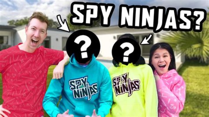 Do ninjas make money?