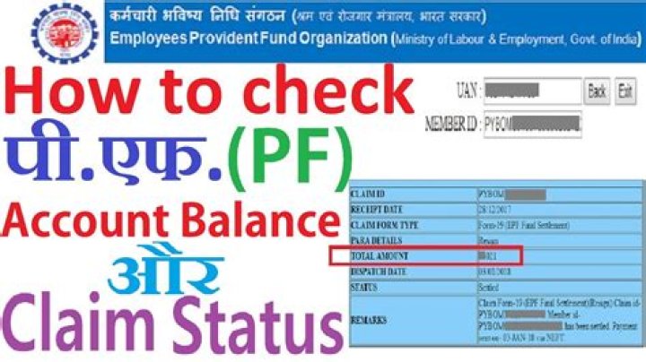 How can I check my PF account status?