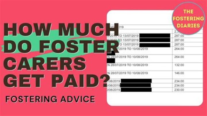 How do foster agencies make money?