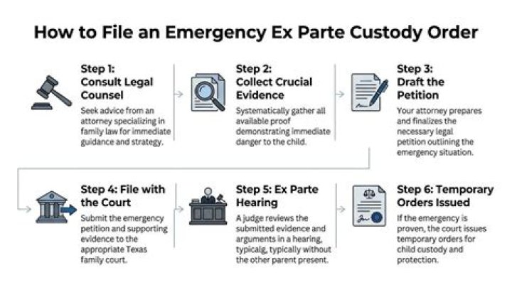 How do I fight an ex parte custody order?