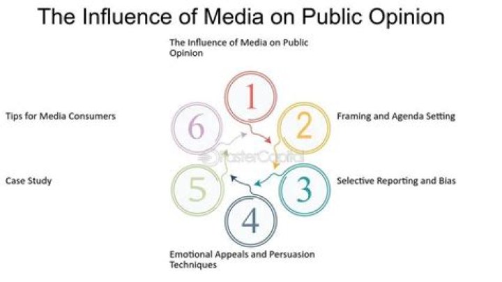 How does media help in public opinion?