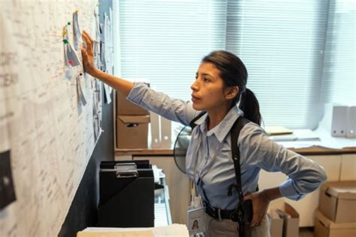 How many hours a week does a criminal investigator work?