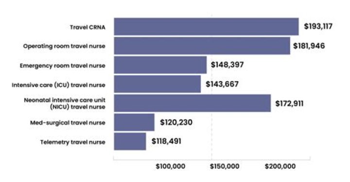 How many months out of the year do travel nurses work?