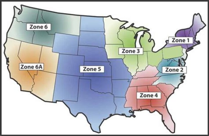 How many zones have USA?