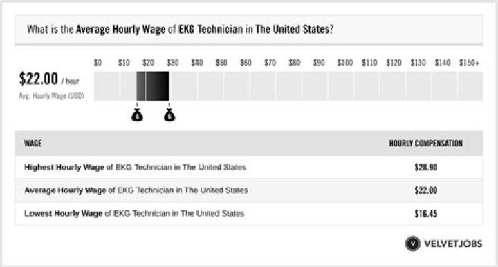 How much do Audi techs get paid?