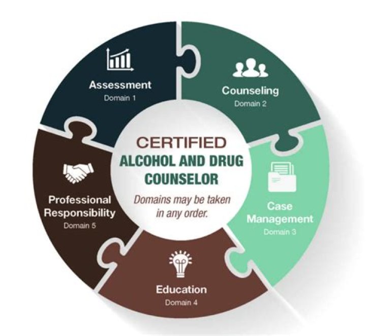 How much do drug and alcohol counselors make?