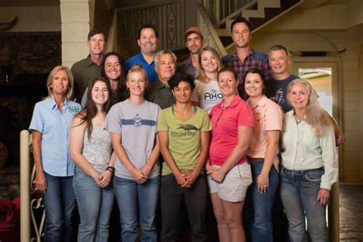 How much do horse chiropractors make an hour?
