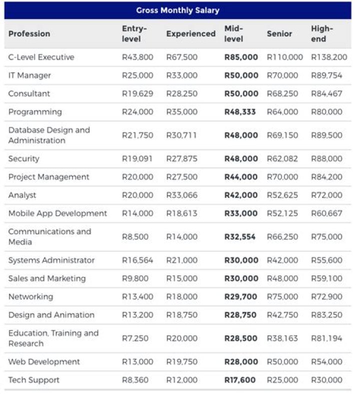 How much do it interns get paid in South Africa?