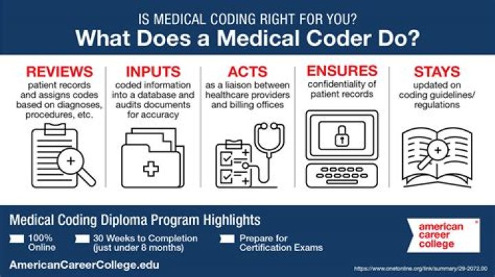 How much do medical coders make an hour starting out?