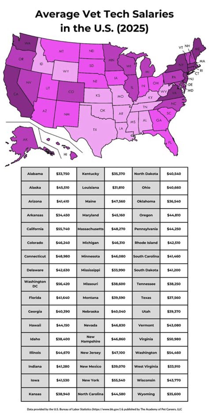 How much do vet tech assistants make?