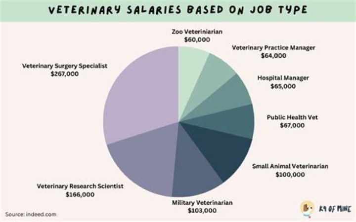 How much do you get paid for being a vet a year?