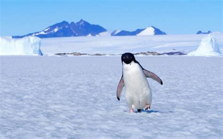 How much do you get paid to work in Antarctica?