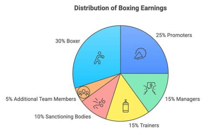 How much does a boxer earn per fight?