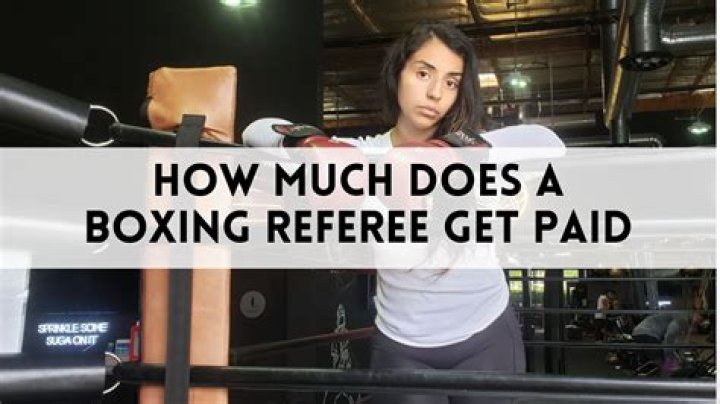 How much does an assistant referee get paid?