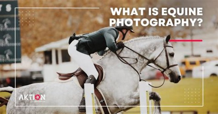 How much does an equine photographer make?