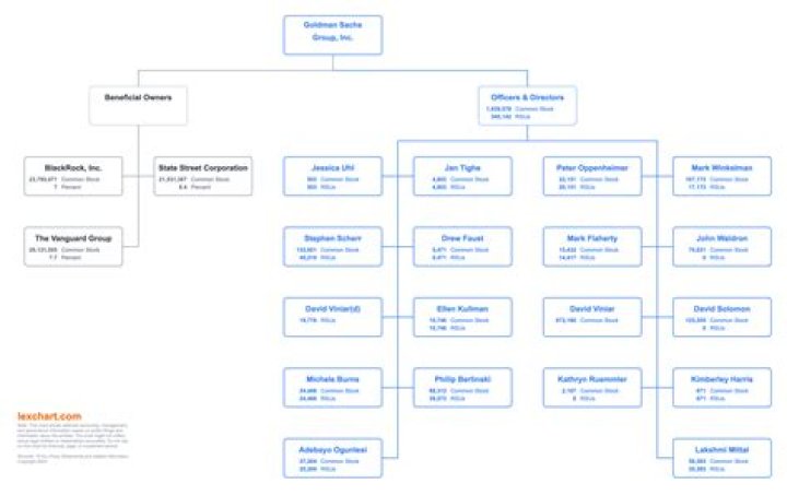 How much does the owner of Goldman Sachs make?