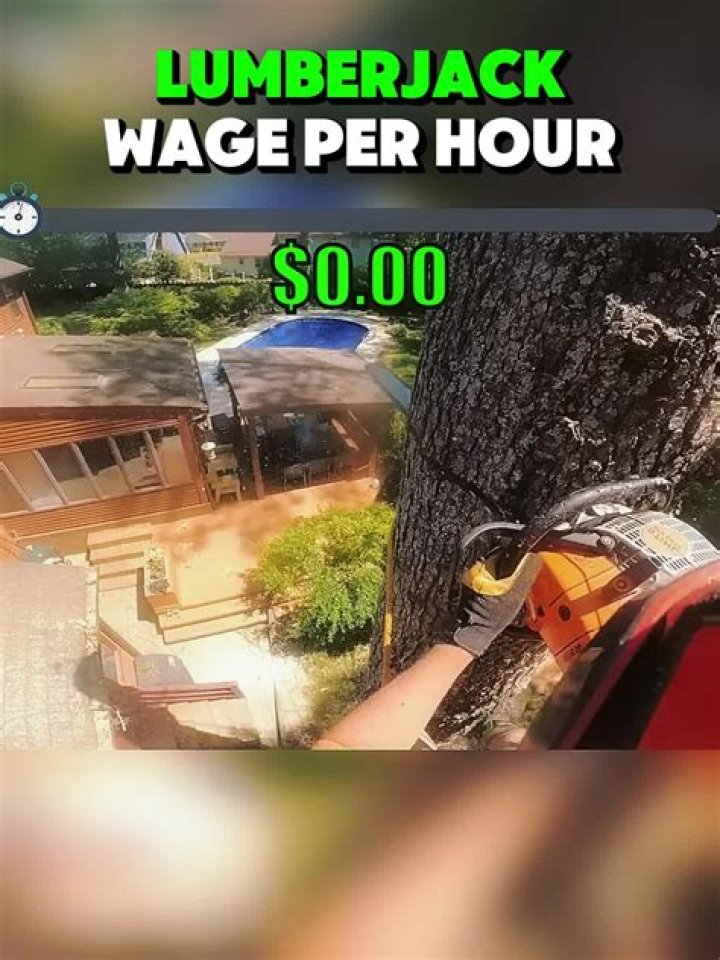 How much money does Lumberjacks make?