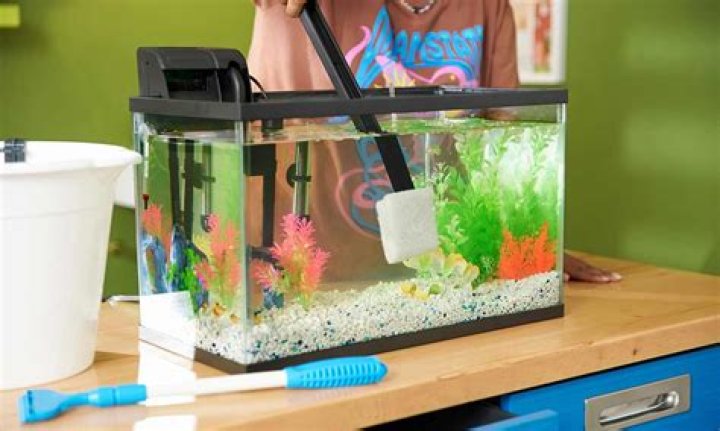 How much should I charge for cleaning a fish tank?