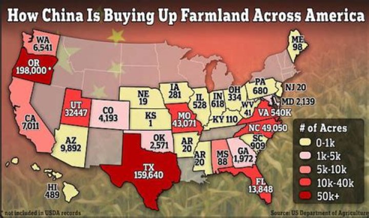 Is all land state-owned in China?