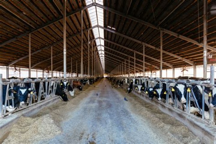 Is math needed in agriculture?
