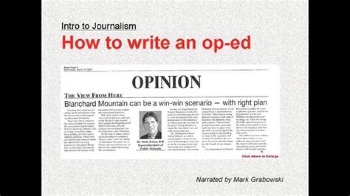 What are opinion pieces in newspapers called?