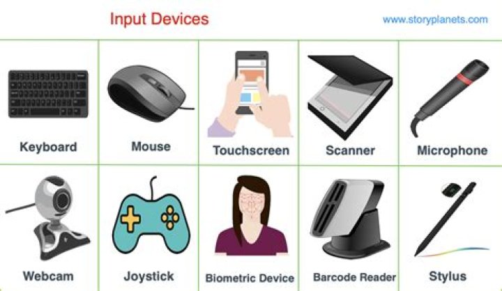 What are some examples of inputs?