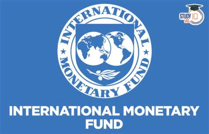 What are the functions of International Monetary Fund?