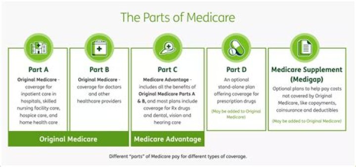 What are the major parts of Medicare?