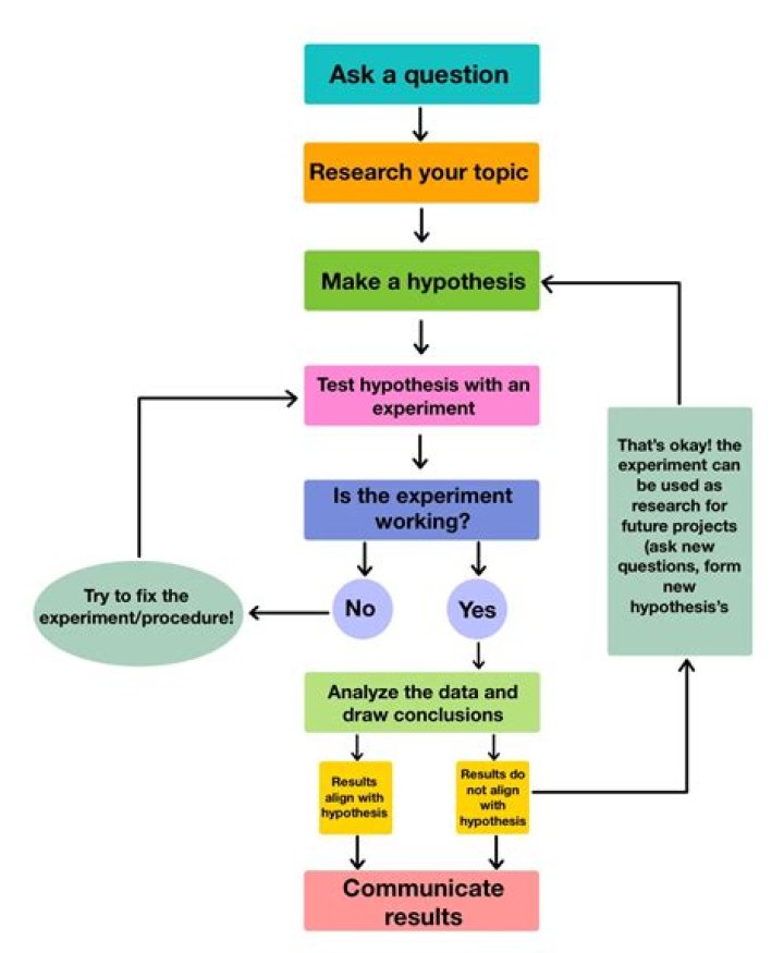 What are the steps in an experiment called?