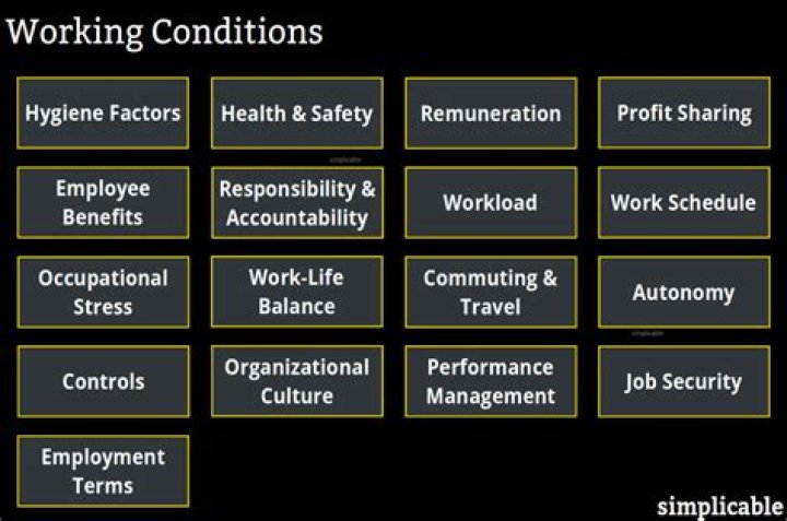 What are the working conditions of a surveyor?
