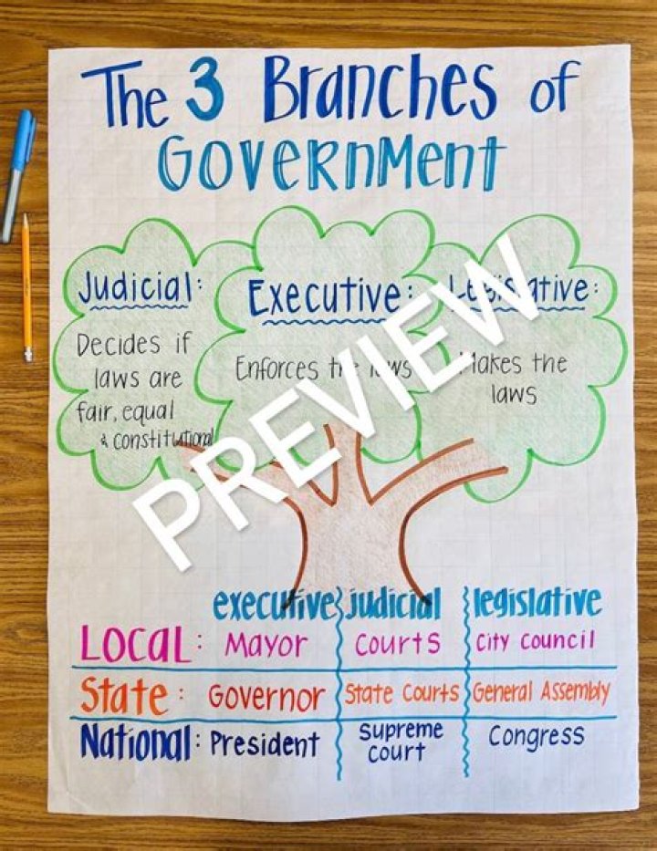 What branch of government can Appoints ambassadors?