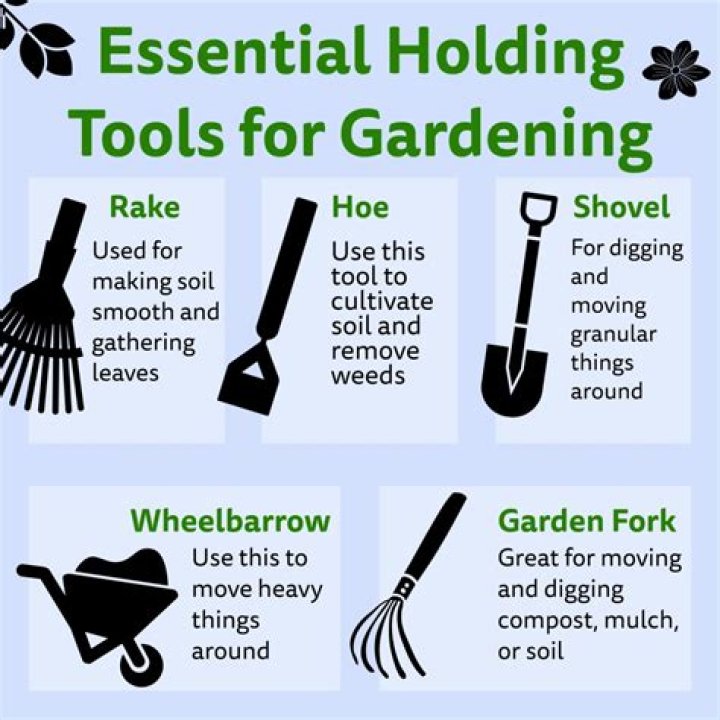 What do you call a gardening expert?