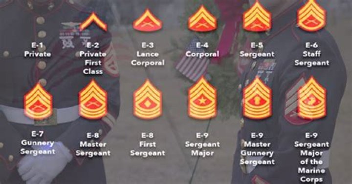What do you call a Marine E8?
