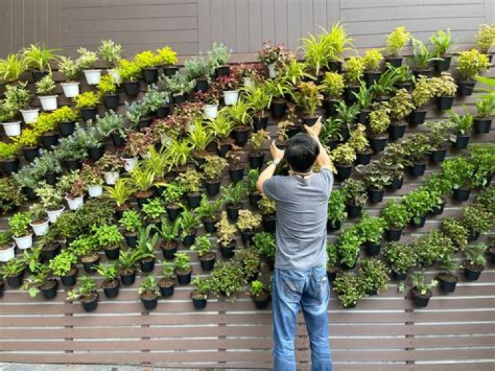 What do you call a specialist in gardening and landscaping?