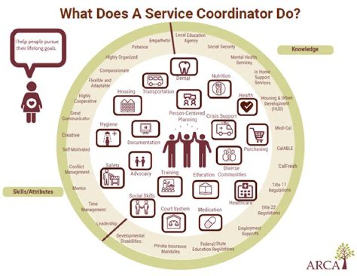 What does a coordinator of operations do?