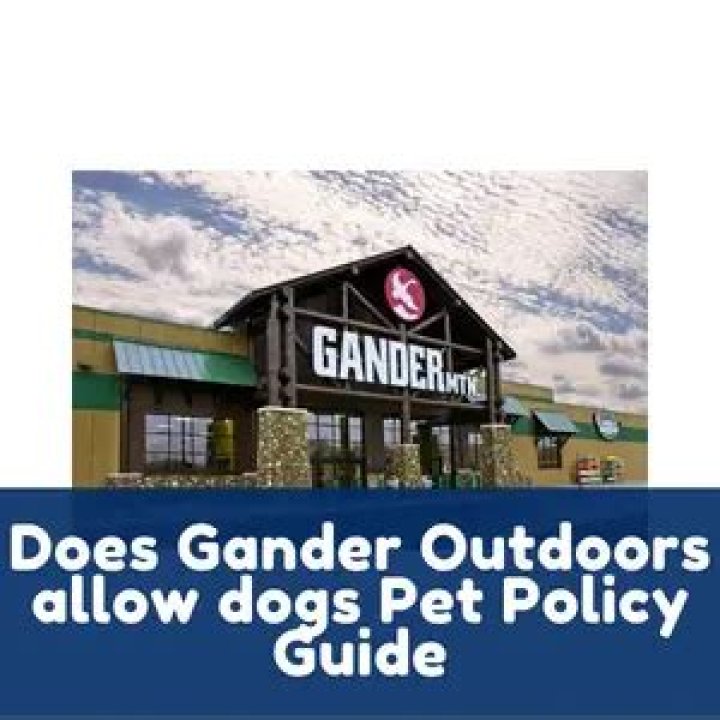 What does Gander Outdoors pay?