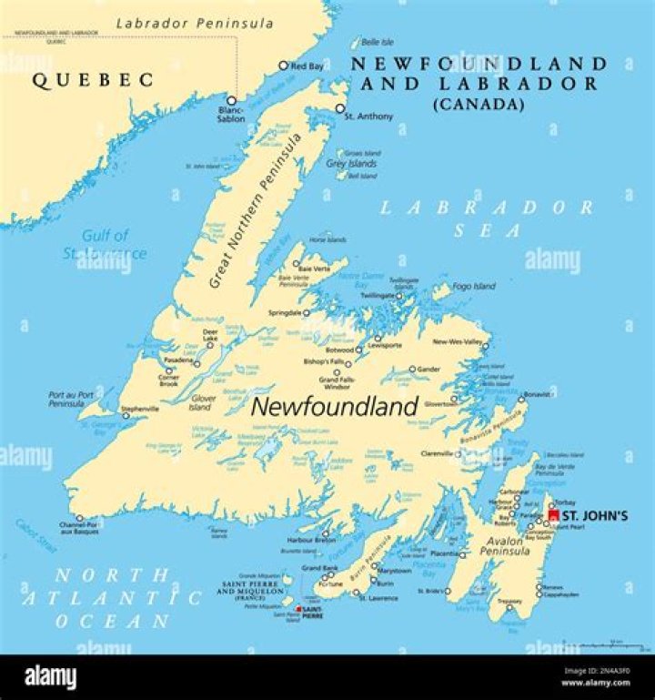 What does Newfoundland and Labrador export the most?