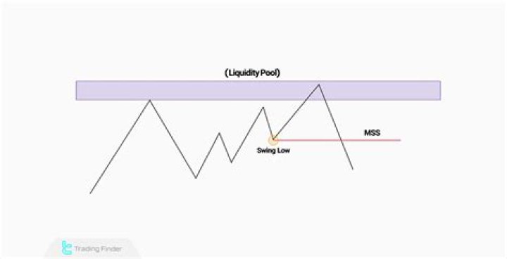 What does the abbreviation MSS stand for?