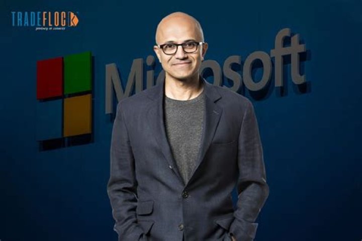 What does the CEO of Microsoft make per year?