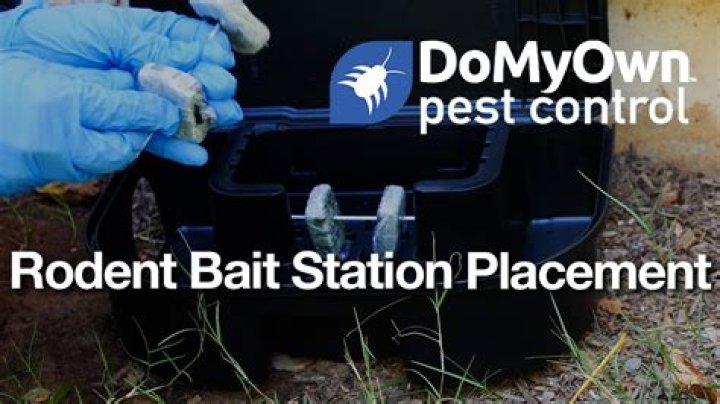 What is a bait camp?
