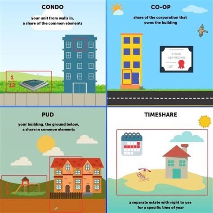 What is a co-op in real estate?