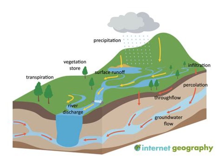 What is a hydrological study?
