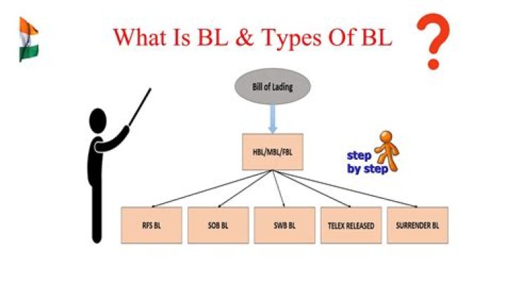 What is BL in a survey?