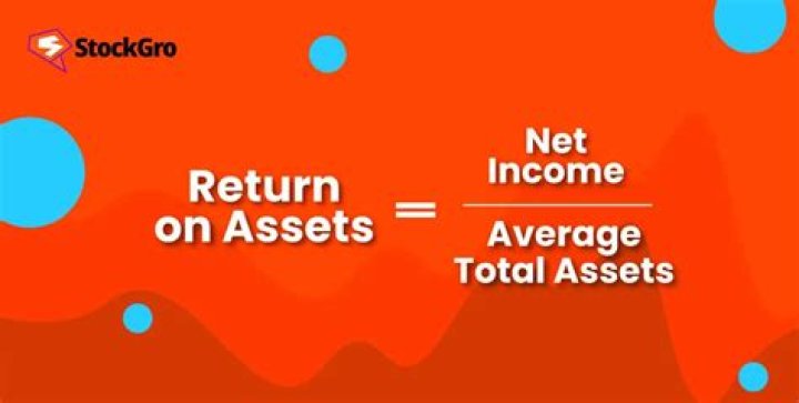 What is return on asset with example?