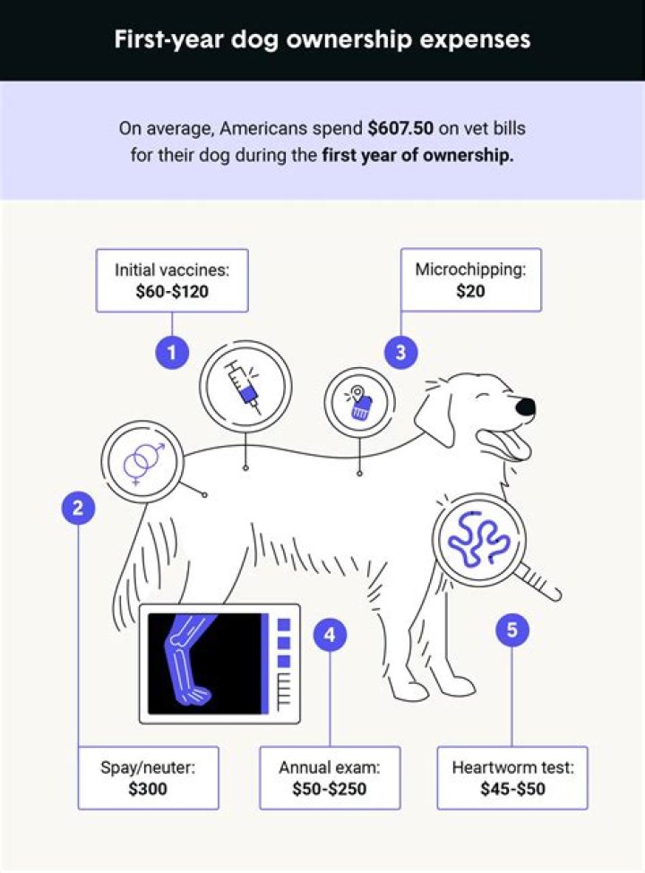 What is the average yearly vet bill for a dog?