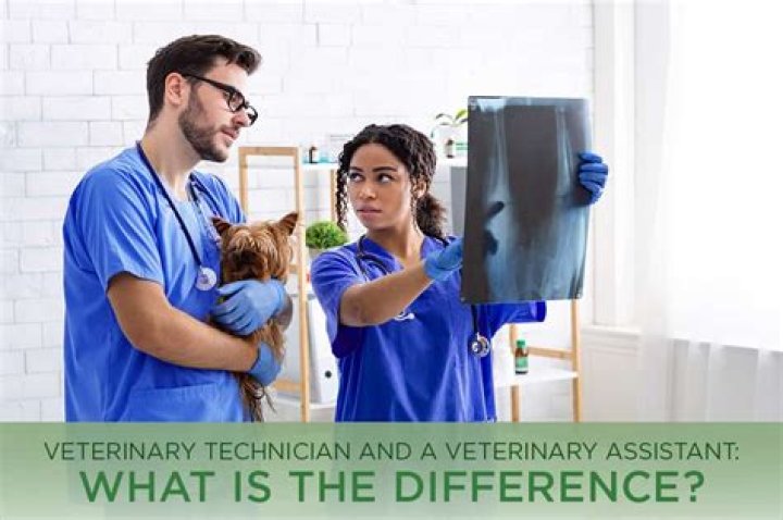 What is the difference between a veterinary assistant and a veterinary technician?