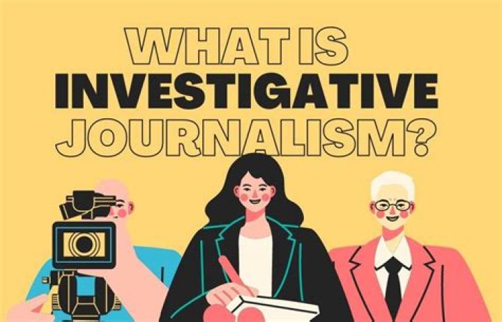 What is the difference between journalism and professional writing?