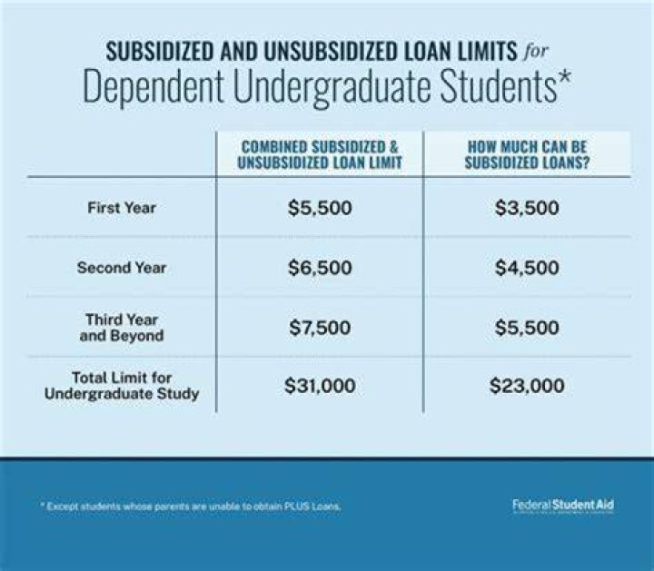 What is the most common undergraduate student loan?